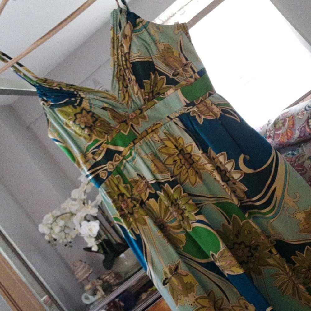 OC OC silk dress w acetate lining.